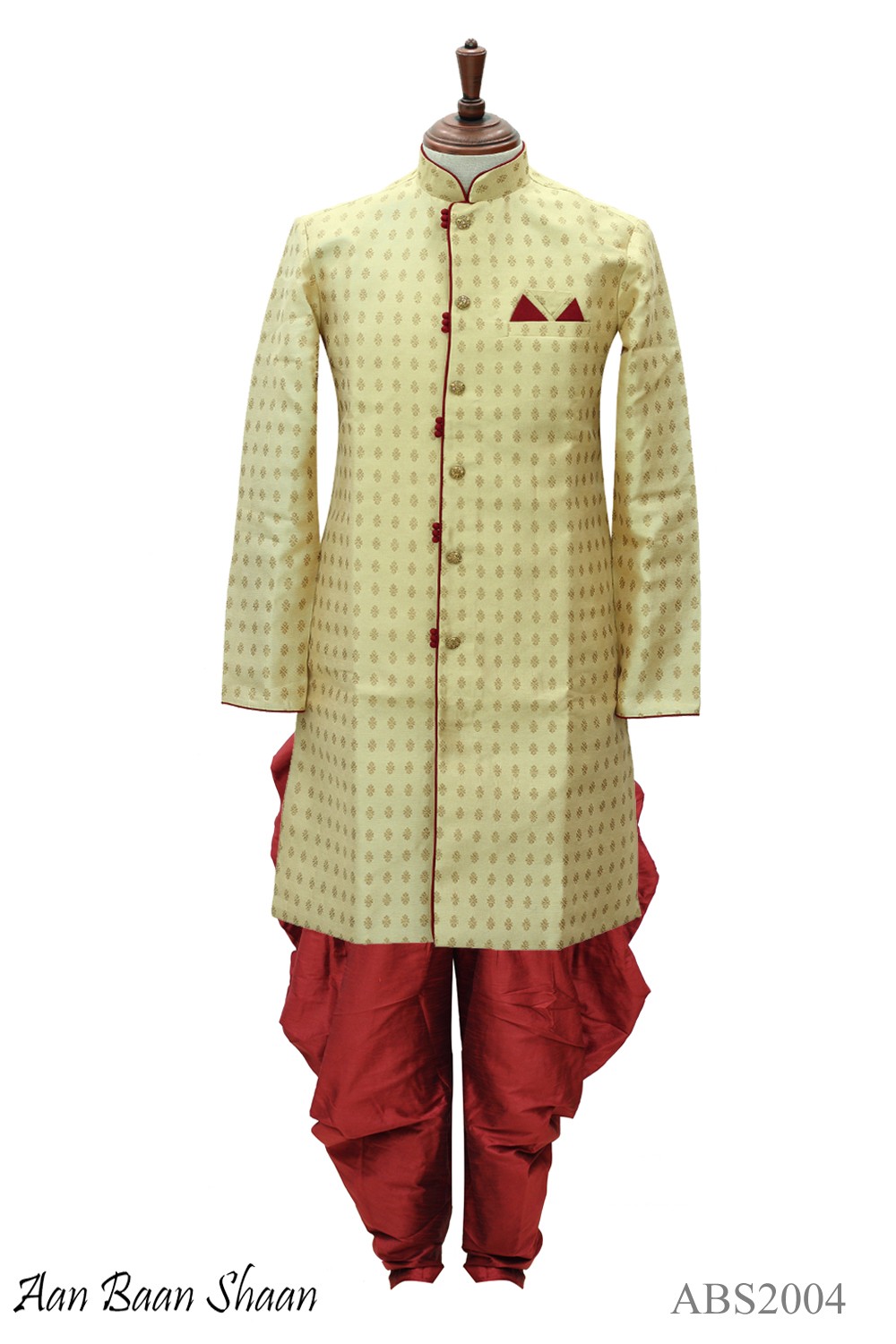 ABS2004-INDO WESTERN SET